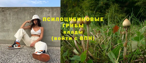 прущий лед Белокуриха