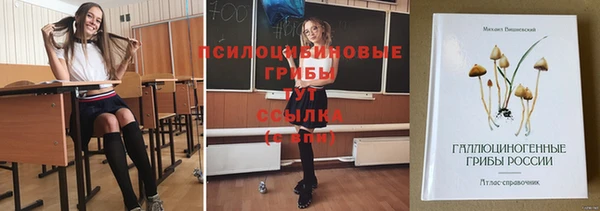 спиды Беломорск