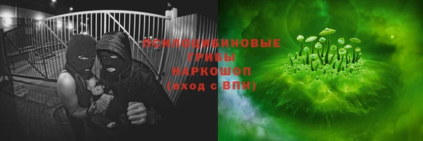 прущий лед Белокуриха