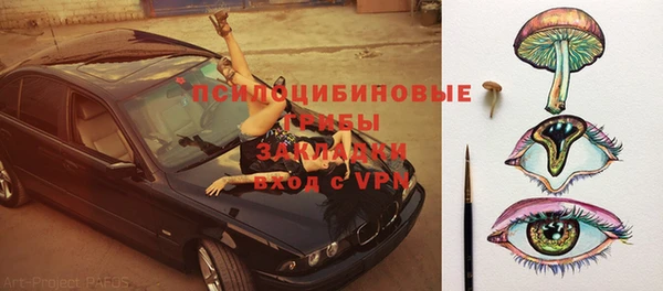 прущий лед Белокуриха