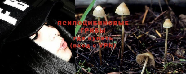 прущий лед Белокуриха
