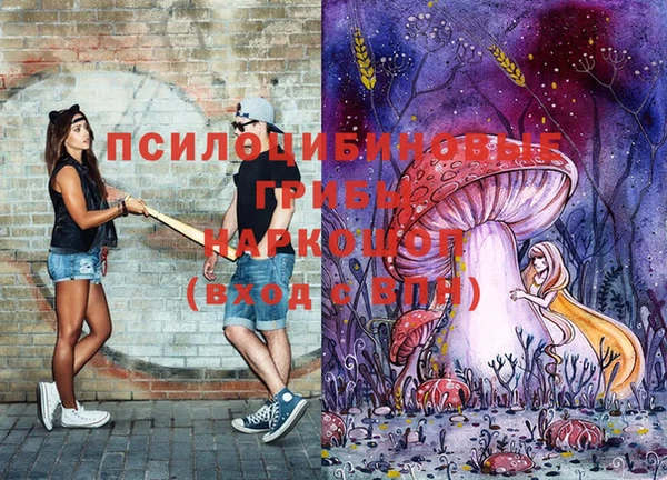 прущий лед Белокуриха
