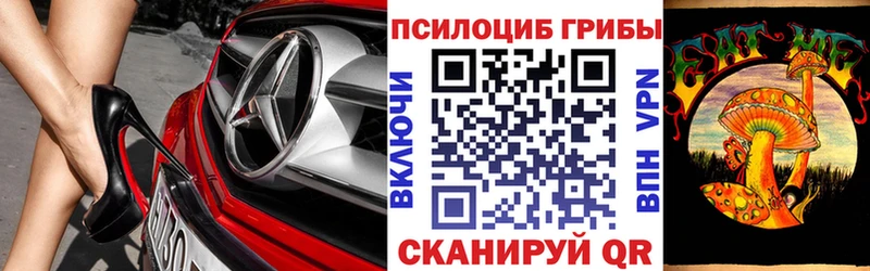 продажа наркотиков  Ставрополь  Псилоцибиновые грибы мухоморы 